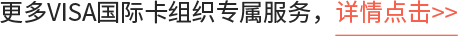 更多VISA国际卡组织专属服务，详情点击>>