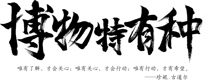 中信银行颜卡定制款 金卡 申请 中信银行颜卡定制款 金卡 额度 年费 中信银行信用卡中心手机站
