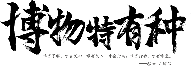 中信银行颜卡定制款